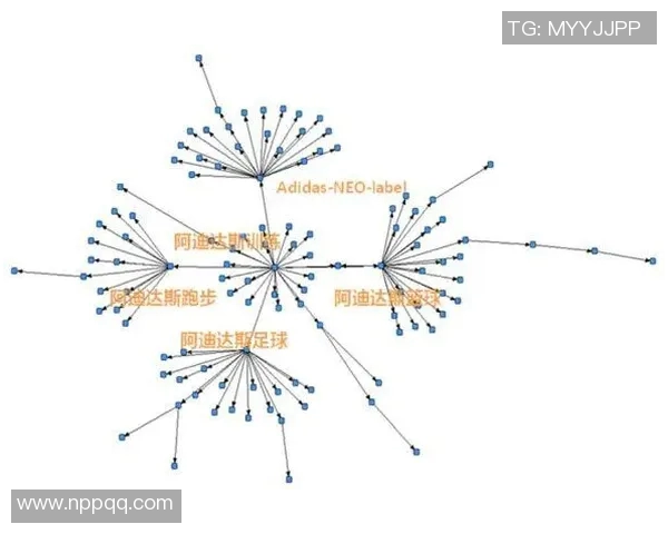 球场翻新项目融资策略探讨与实施路径分析