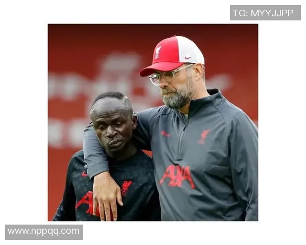 雄鹿全队遭遇新冠阵痛,多名球员隔离,战绩或受影响 雄鹿全队遭遇新冠阵痛,多名球员隔离,战绩或受影响